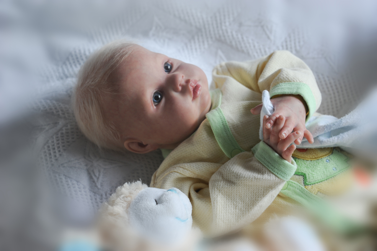 Reborn Doll Picture