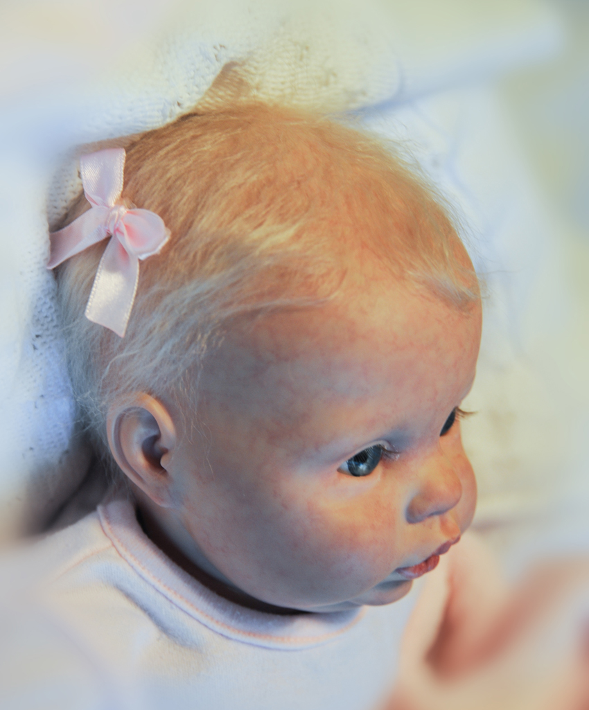 Reborn Doll Picture