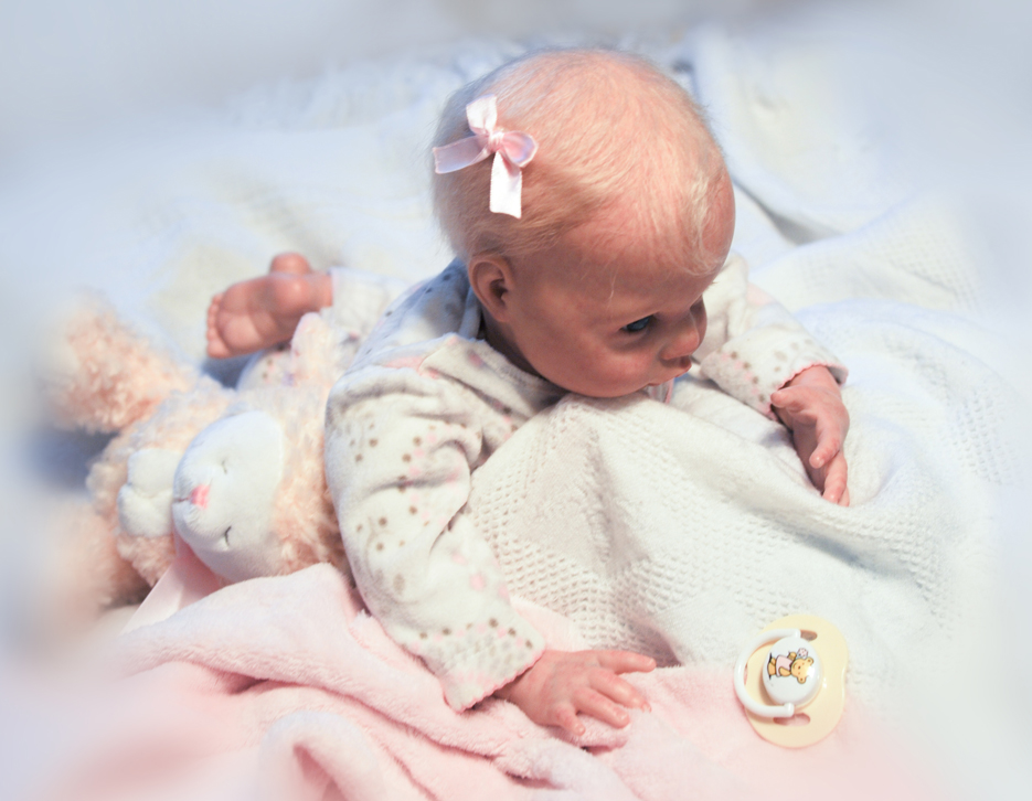 Reborn Doll Picture